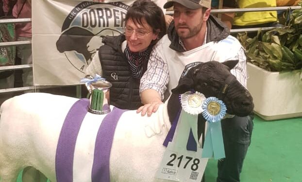 La Armonía – Unelén con importantes distinciones en la Expo Rural de Palermo