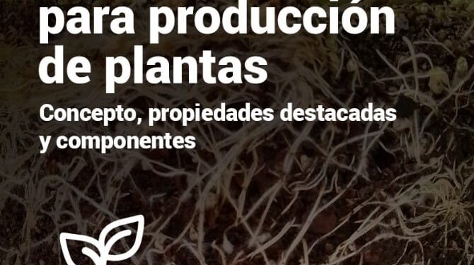 Capacitación “Sustratos para producción de plantas”