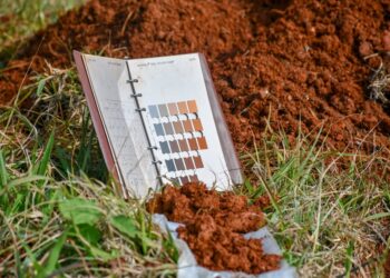 Presentaron la Carta de suelos del Departamento Guaraní: una herramienta para la producción