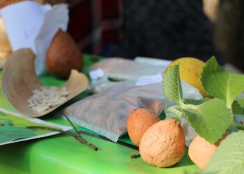 La Multiversidad en jornada de trabajo y Feria Provincial de las Semillas Nativas y Criollas