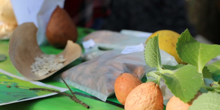 La Multiversidad en jornada de trabajo y Feria Provincial de las Semillas Nativas y Criollas