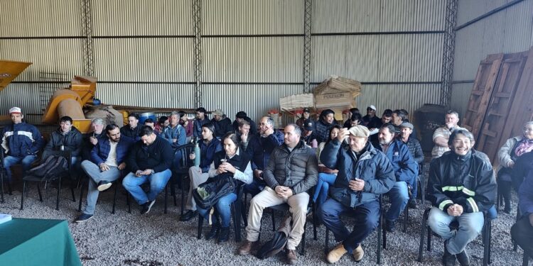 Sanidad animal para productores lecheros