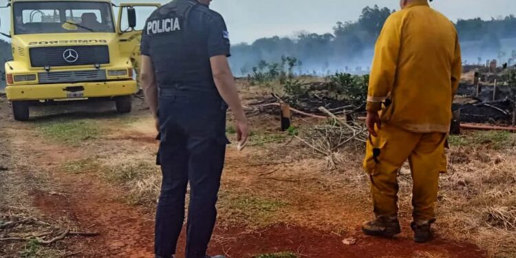 Queman tres hectáreas de yerba mate