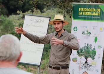 Poda de formación y cosecha con estudiantes y productores en Guaraní
