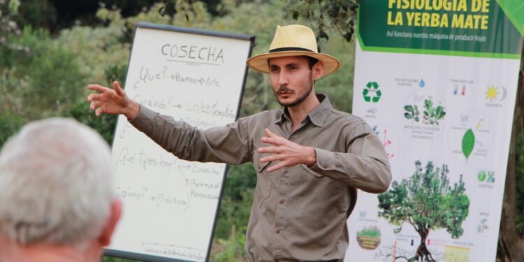 Poda de formación y cosecha con estudiantes y productores en Guaraní