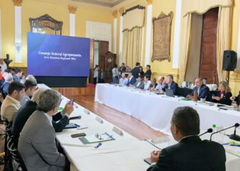 Misiones reclama por la producción yerbatera en la reunión nea del consejo federal agropecuario