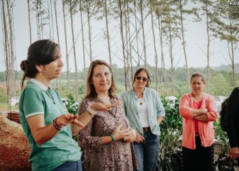 San Vicente: el centro de producción y validación  es un espacio para la  implementación de herramientas innovadoras