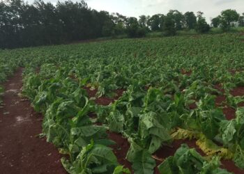 Granizo en Andresito