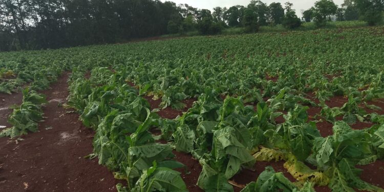 Granizo en Andresito