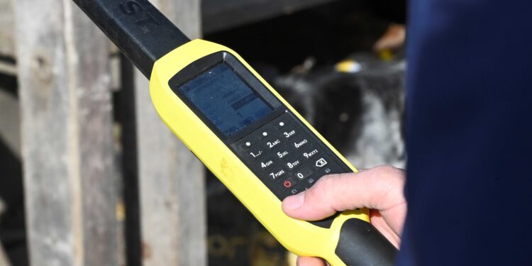 Para potenciar el perfil exportador de la ganadería, el Gobierno anunció el Sistema Nacional de Trazabilidad Electrónica Individual