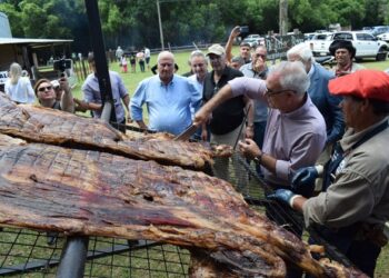 Corrientes primera provincia en rodeo de Búfalos