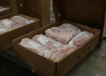 Las exportaciones de carne vacuna acumularon  el volumen más alto en los últimos 57 años