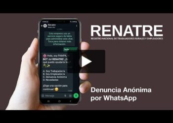 El RENATRE: nuevo canal de denuncias anónimas a través del WhatsApp