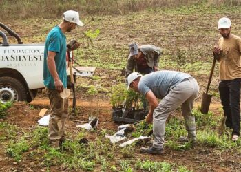 Misiones declara de Interés Provincial proyecto de Fundación Vida Silvestre