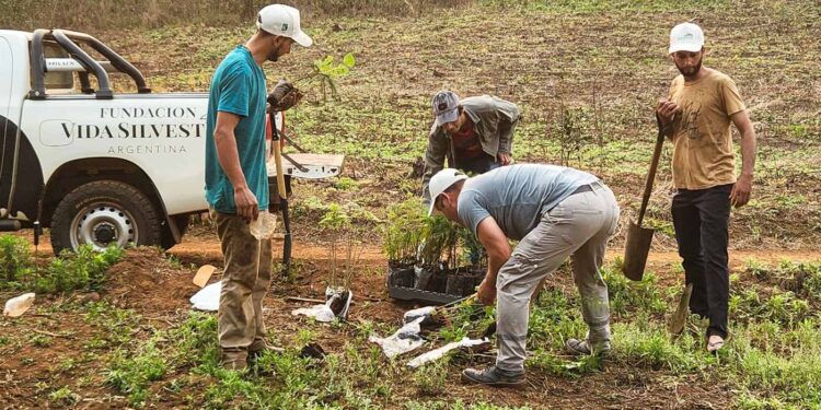 Misiones declara de Interés Provincial proyecto de Fundación Vida Silvestre