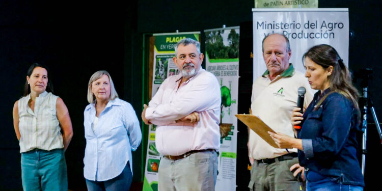 La producción orgánica para una yerba mate más rentable y sostenible