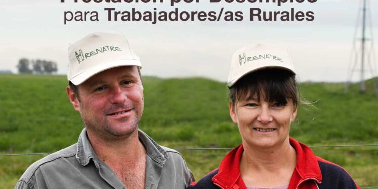 El RENATRE sube a $200.000 las prestaciones por desempleo a partir de diciembre