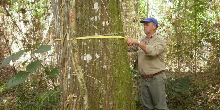 Campo San Antonio, un espacio clave para el sector forestal