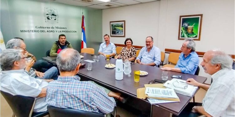 Aglomerado Productivo Forestal tiene nuevo presidente