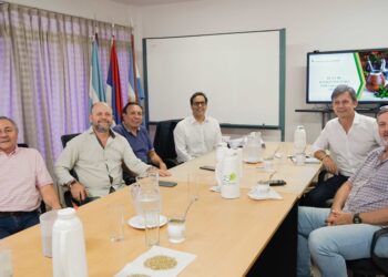 Reunión en el INYM para potenciar las exportaciones de yerba mate a la India