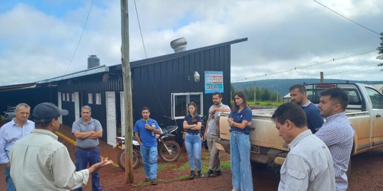 El centro de producción y validación de tecnologías hortícolas de San Vicente es modelo en la región