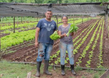 El desarrollo productivo y la agroecología en misiones
