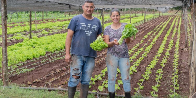 El desarrollo productivo y la agroecología en misiones