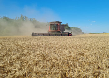 Se agrava la sequía en gran parte del país