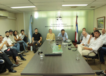 Cannabis y diversificación productiva en Misiones