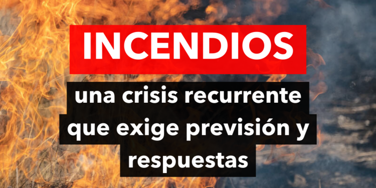 Crisis recurrente: los incendios forestales en Argentina