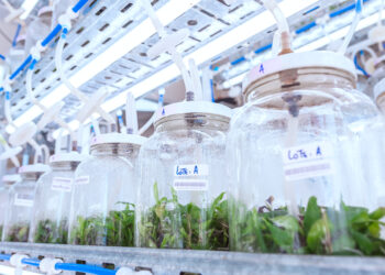 Encuentro de biotecnología: Misiones será sede