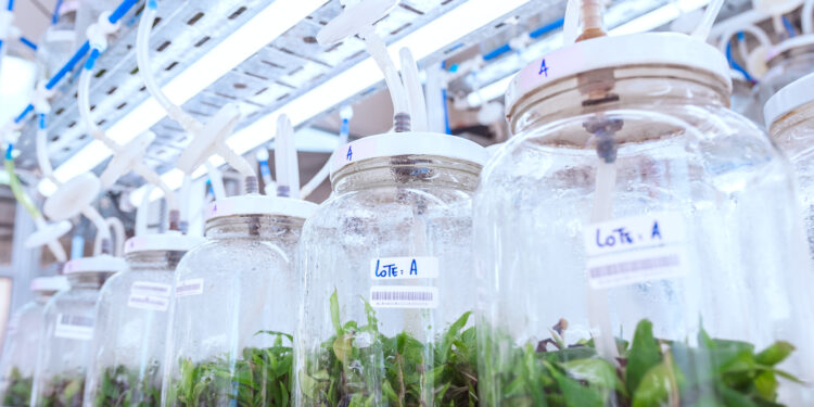 Encuentro de biotecnología: Misiones será sede
