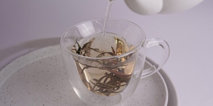 El té blanco fue incorporado al código alimentario argentino