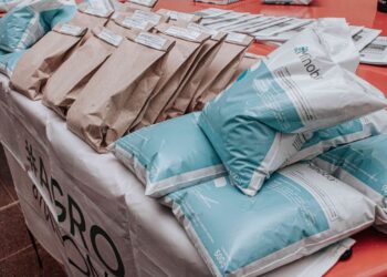 Diversificación productiva: nuevas entregas de semillas y capacitación técnica en territorio