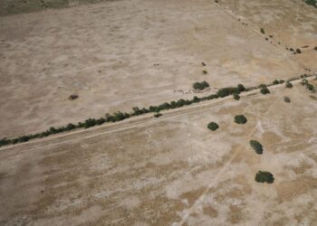 Economía declaró la emergencia agropecuaria para Chaco y Santa Fe
