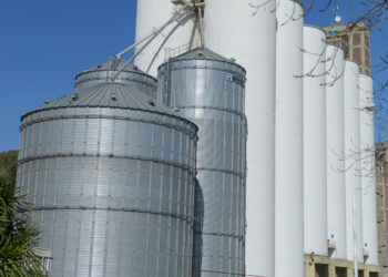 El Gobierno Nacional eliminó el Registro Único de la Cadena Agroindustrial (RUCA)