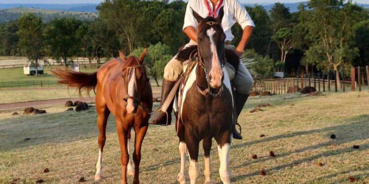 Jornadas a puro campo en San José