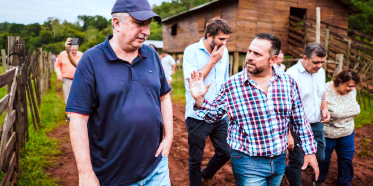 Misiones y la producción provincial de pajuelas para impulsar la genética ganadera