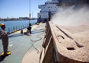 Precios FOB oficiales: nueva metodología para su cálculo