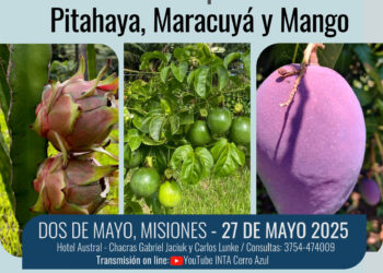 Misiones sede de una jornada técnica internacional sobre frutales tropicales