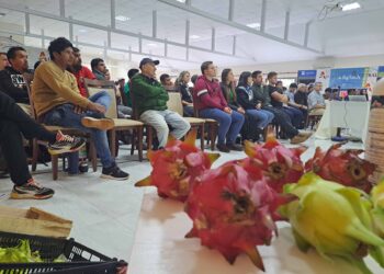 Jornada técnica para el desarrollo de frutales tropicales en Misiones