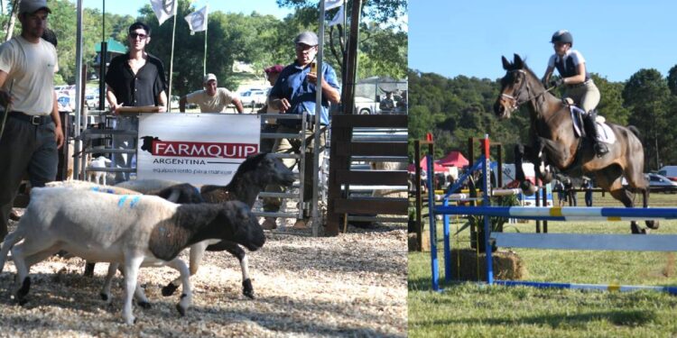 Exitoso remate de ganadería menor en San José
