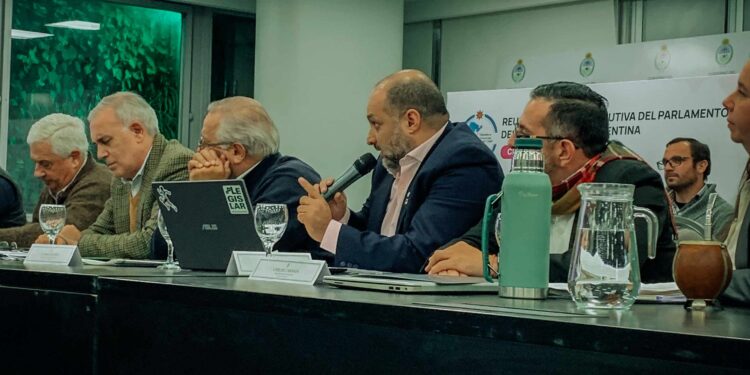Misiones llevó su agenda al Consejo Federal Agropecuario NEA