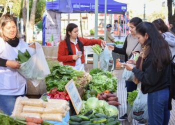 El exceso de lluvias y las heladas de invierno, problemas para los feriantes