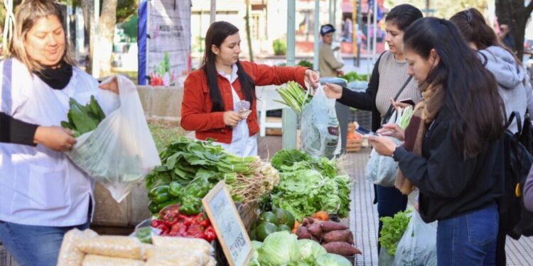 El exceso de lluvias y las heladas de invierno, problemas para los feriantes