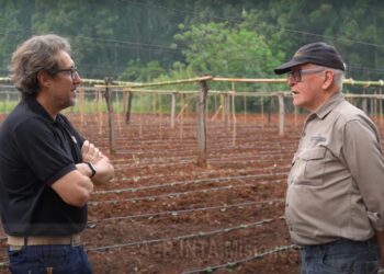 Oscar Pérez, un referente de la diversificación productiva en Misiones