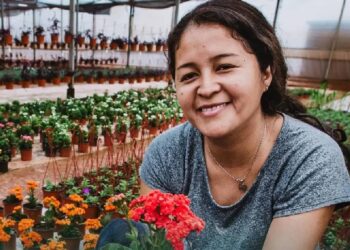 Amplían  el cupo de la línea de crédito productivo en Misiones