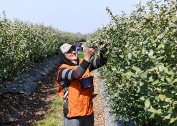 La prestación por desempleo del RENATRE subió un 37% en lo que va del año