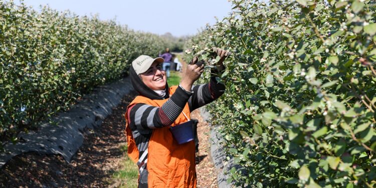 La prestación por desempleo del RENATRE subió un 37% en lo que va del año