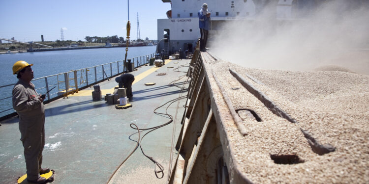 Los principales agroproductos exportados entre enero y abril alcanzaron su mayor valor comercial en los últimos 3 años